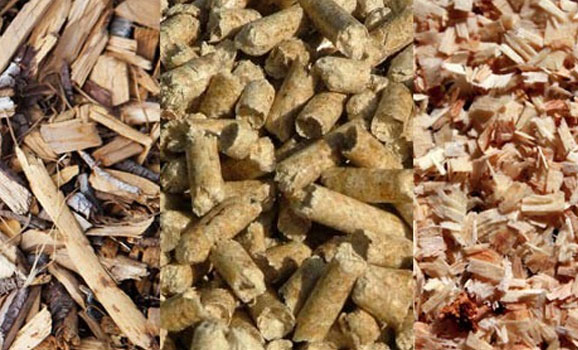 Biomass photo