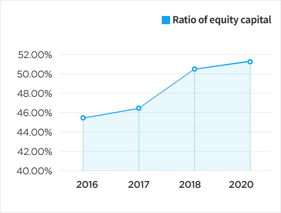 Ratio of equity capital graph chart