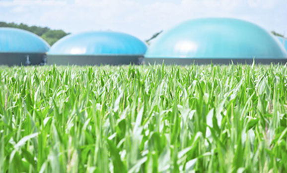 바이오가스(Biogas) 사진