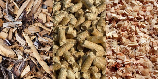 ̿Ž(Biomass) 