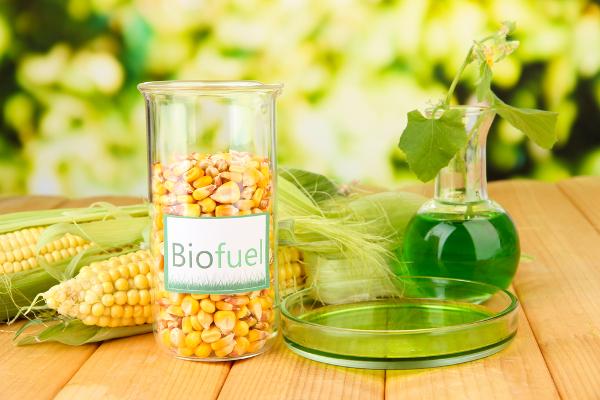 ̿(Biofuel) 