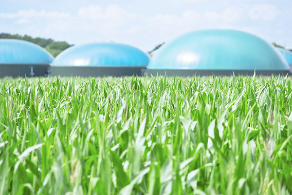 ̿(Biogas) 
