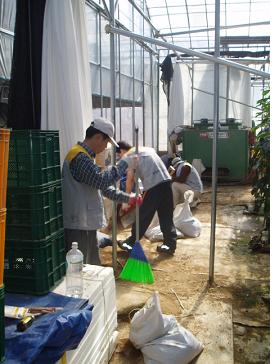 동해사업소, “한창 수출하고 있어야 될 농작물이…” 수해복구 활동