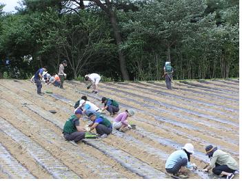 동해사업소, “수해는 아직도 진행중” 진부면 복구활동