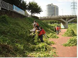 양재천 환경보호 봉사 활동