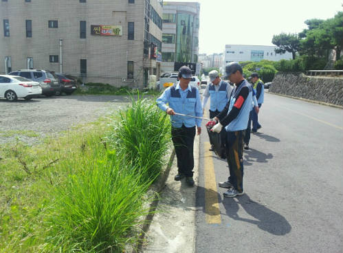 서귀포시청 제2청사 인근주변 환경정화하는 장면