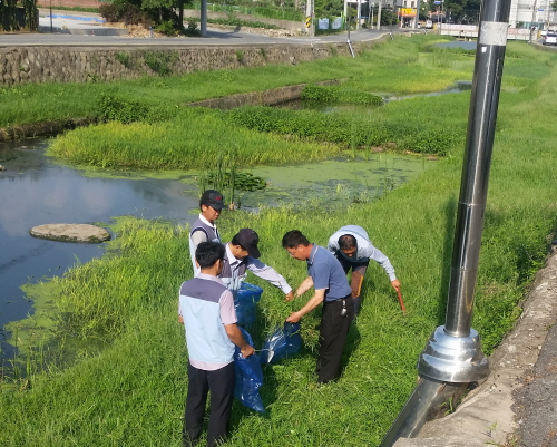 나주천 주변 정화활동하는 장면