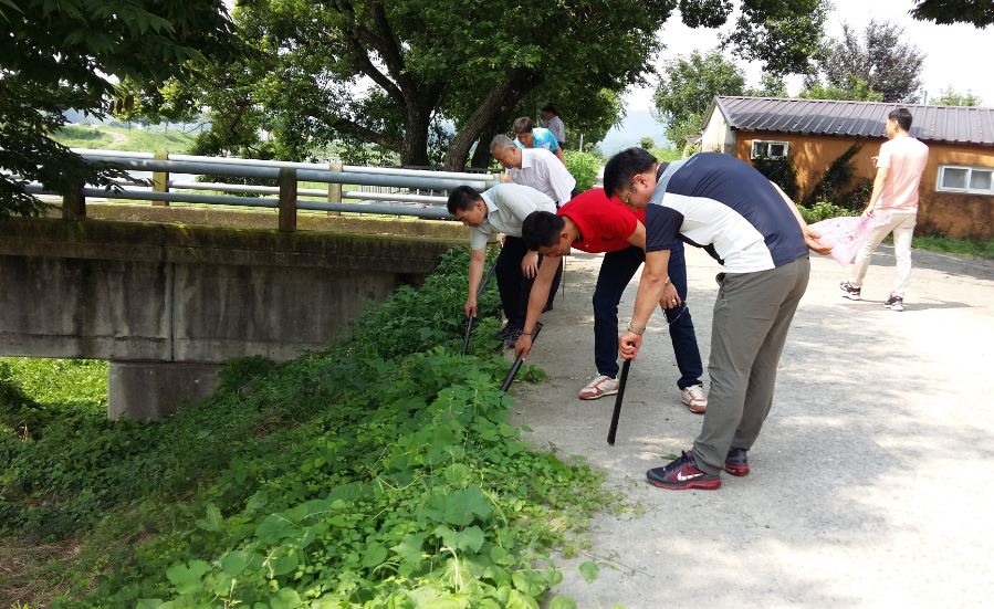화순읍 삼천변 2교 주변 샘내 마을 환경정화하는 장면