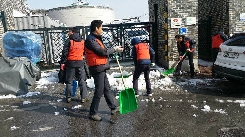 청사 주변 환경정비 및 눈 치우기 작업 실시