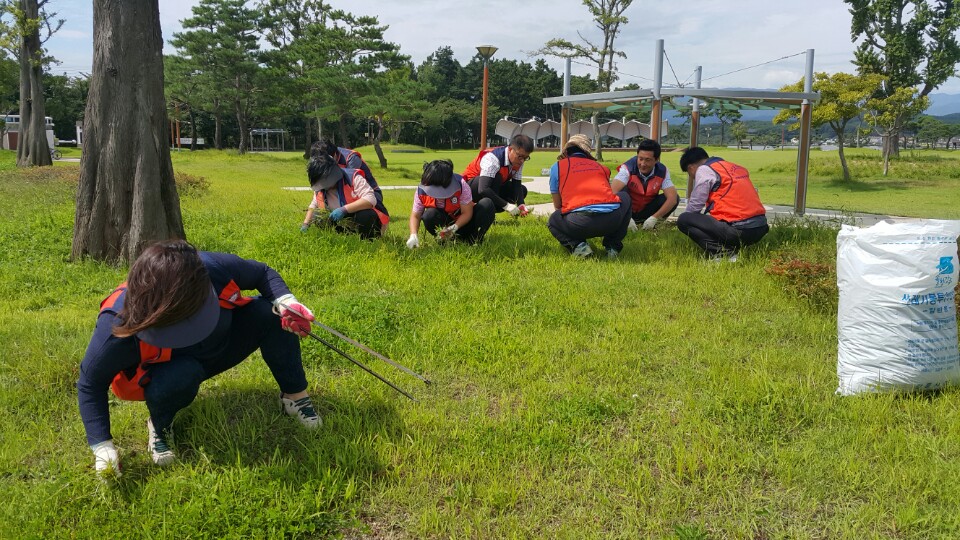 1지역본부 강릉지점 올림픽 빙상경기장 주위 환경정화 실시