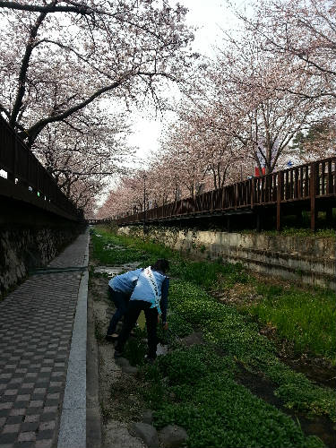 진해지점 사회공헌활동