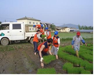 남수원지점, 젊은이 없는 농촌마을 방문해 모내기 등 일손 도와