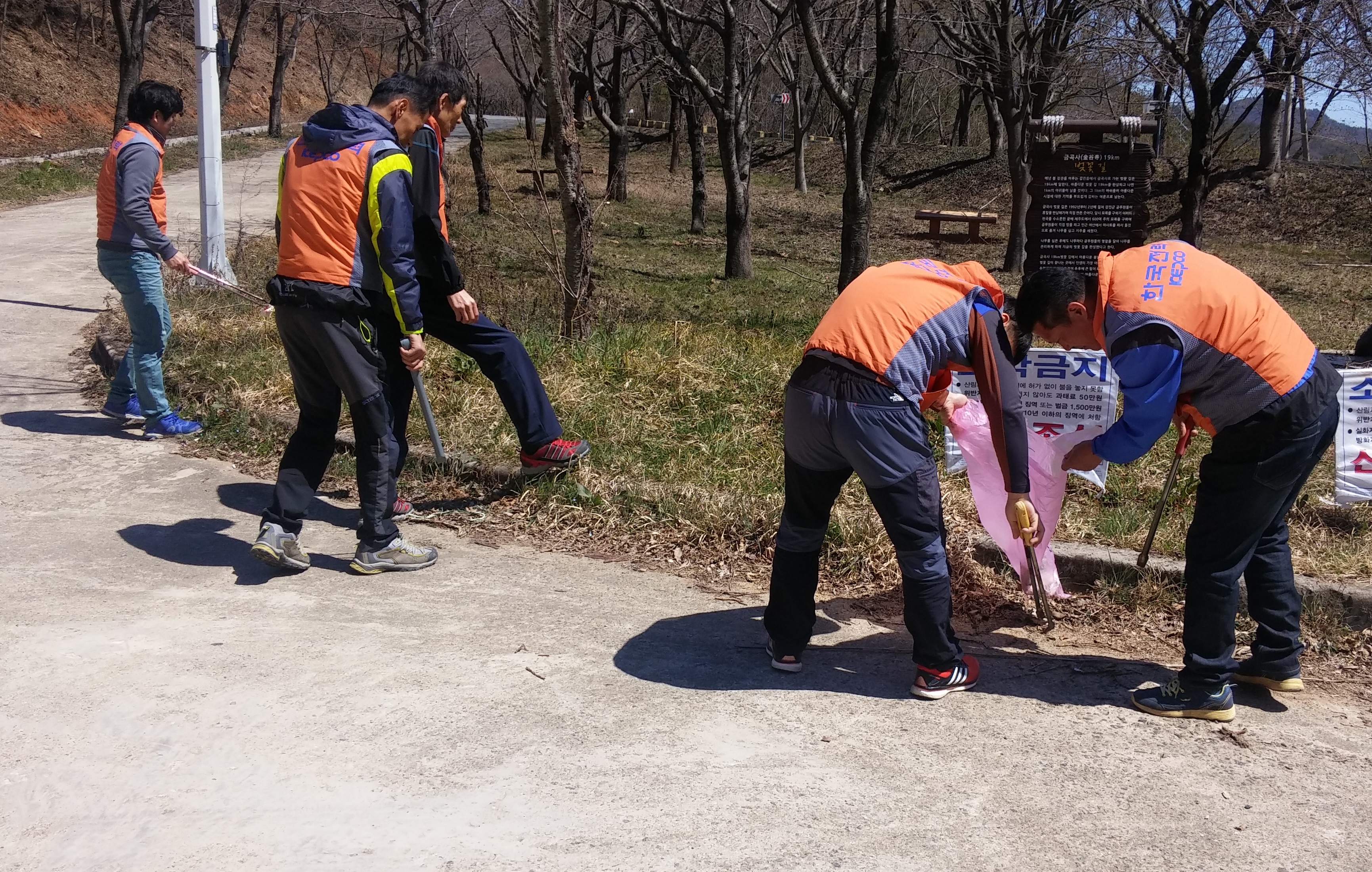 봄 맞이 벚꽃길 주변 환경정리