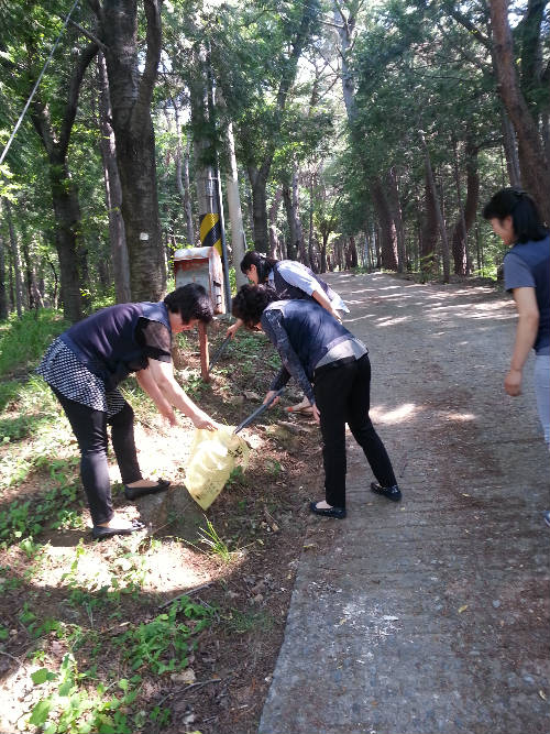 진해 환경정화활동
