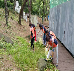 거리를 청소하는 장면 사진