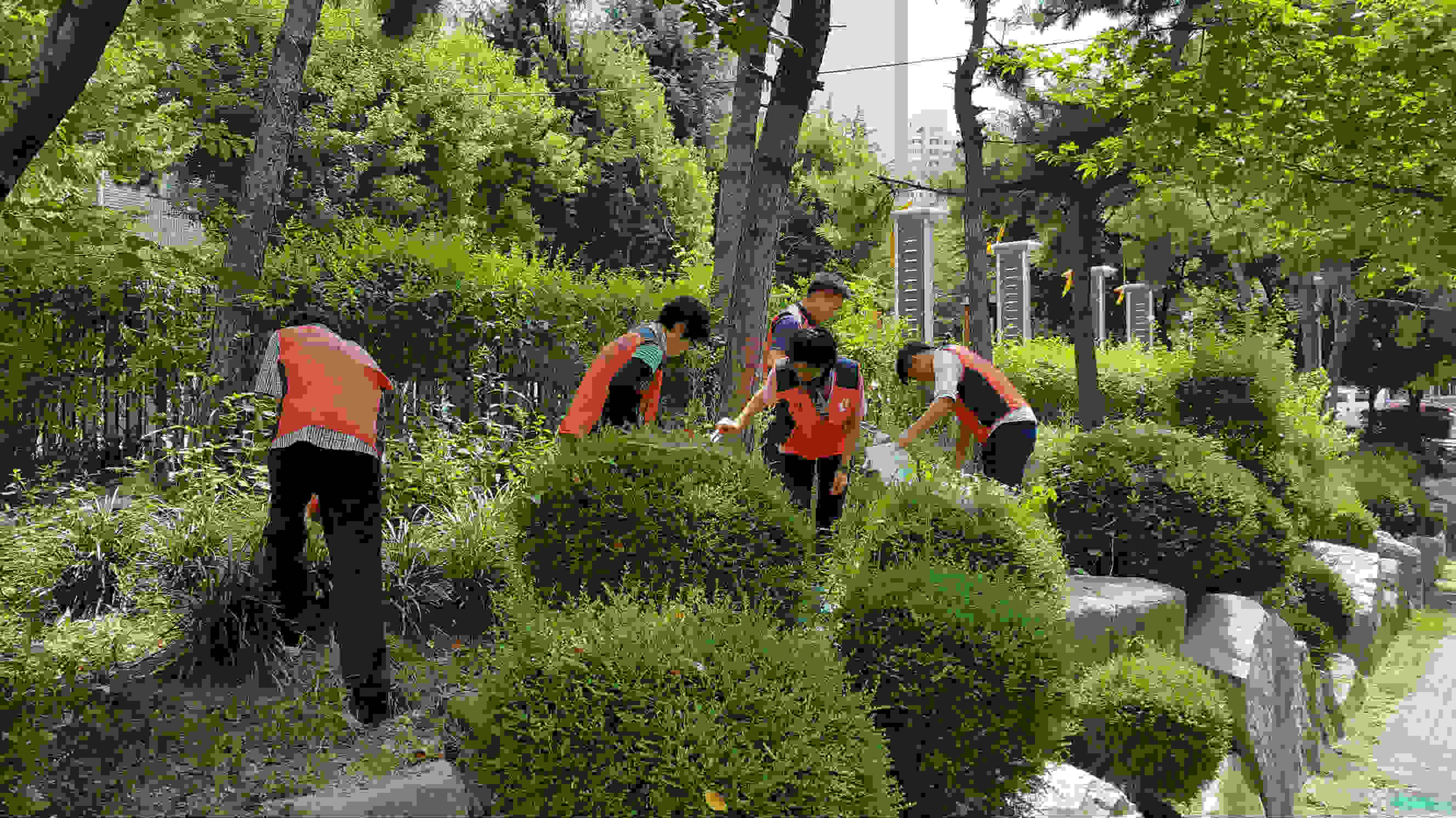 아파트 주변 환경정화 활동 장면