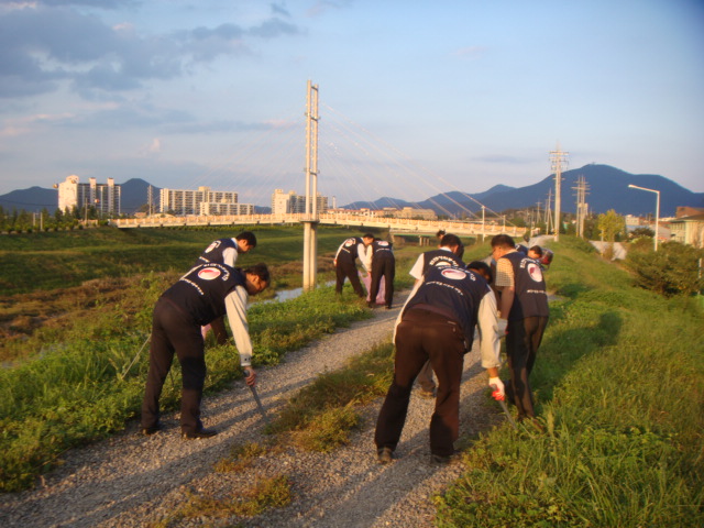 말이산고분 및 박물관 주변청소
