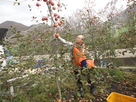 농촌일손돕기 행사 참여