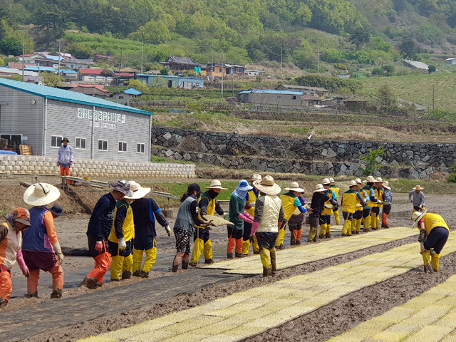 삼천포사업처 나누리봉사단 사회공헌활동 시행