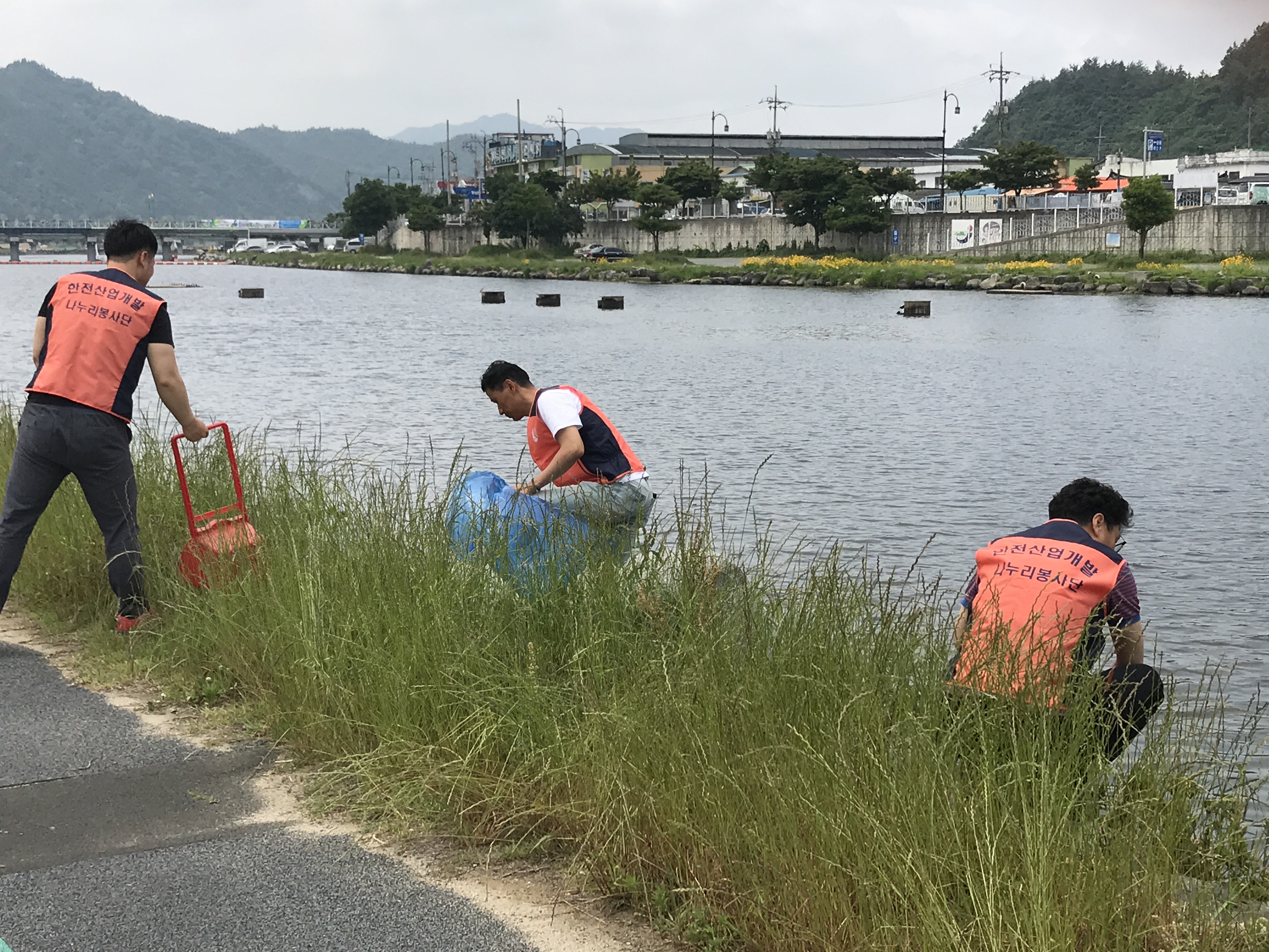 장흥읍 탐진강변 청소 봉사 활동