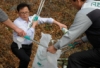 자연정화 활동