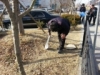 화순지점 사옥주변 환경정화