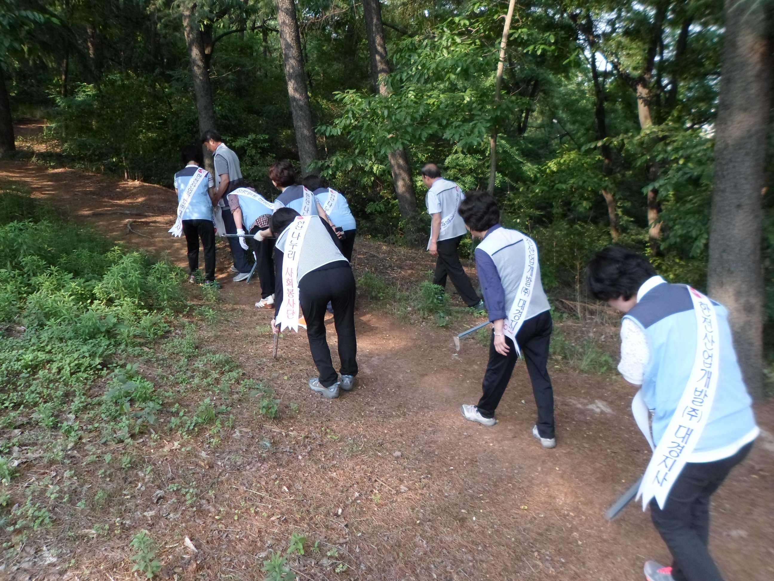 오봉산 공원 자연정화활동