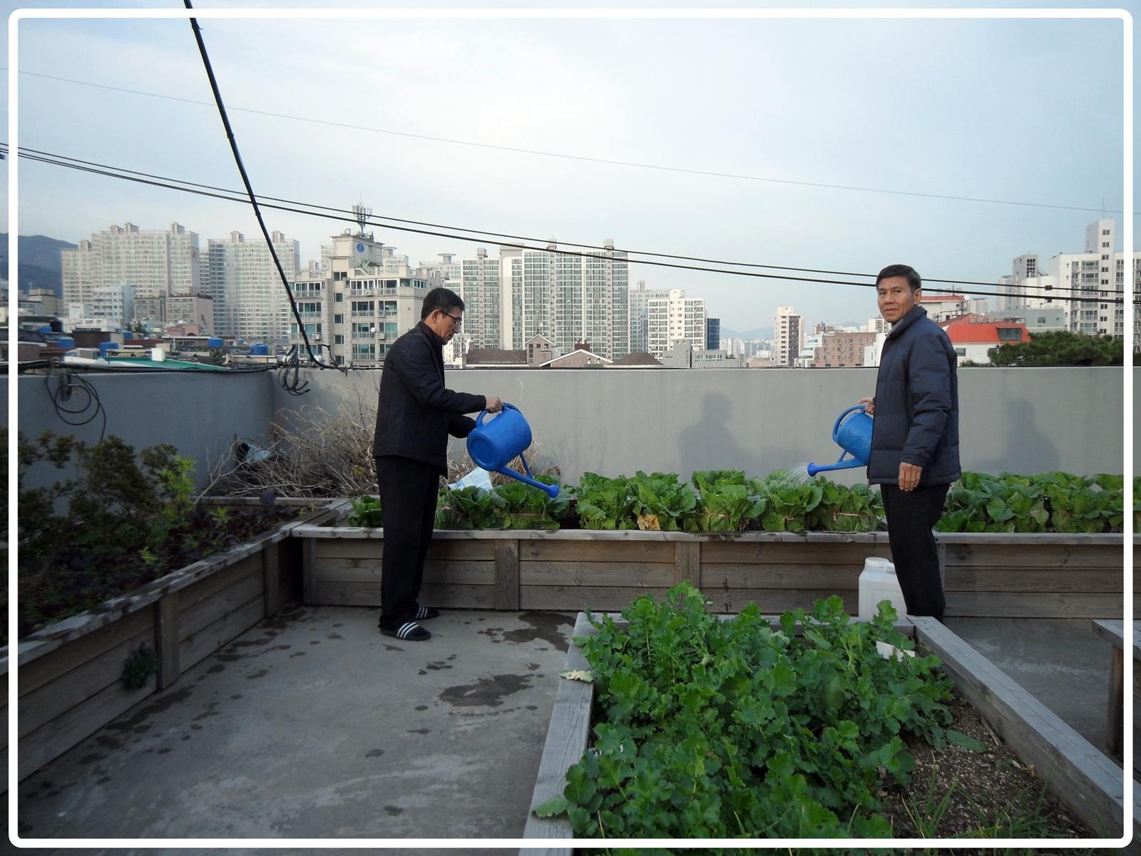 사회복지시설 노력봉사
