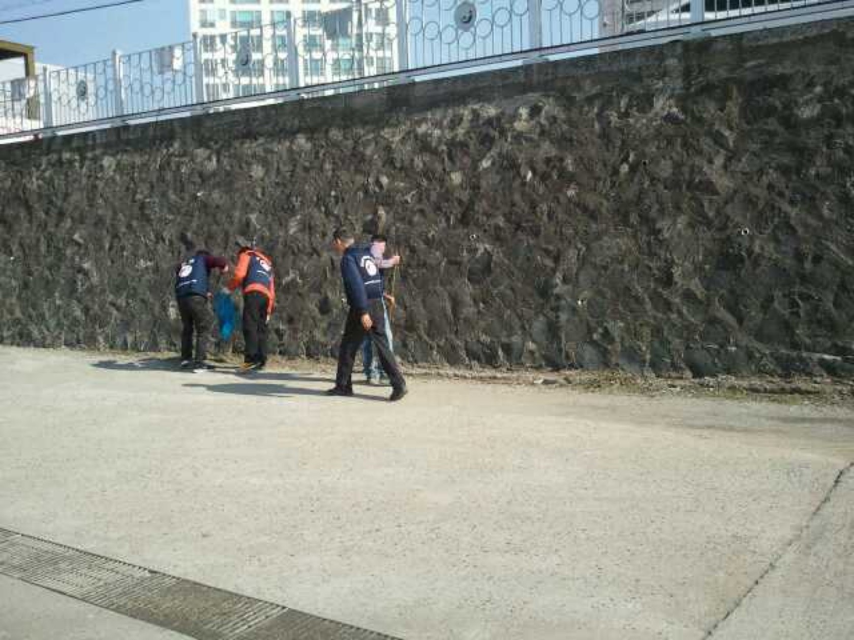 지역내 환경 정화활동