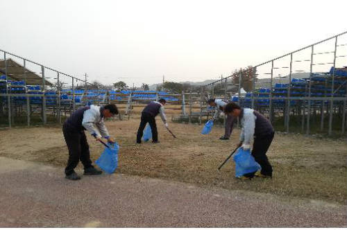 보은 대추축제현장 환경정화