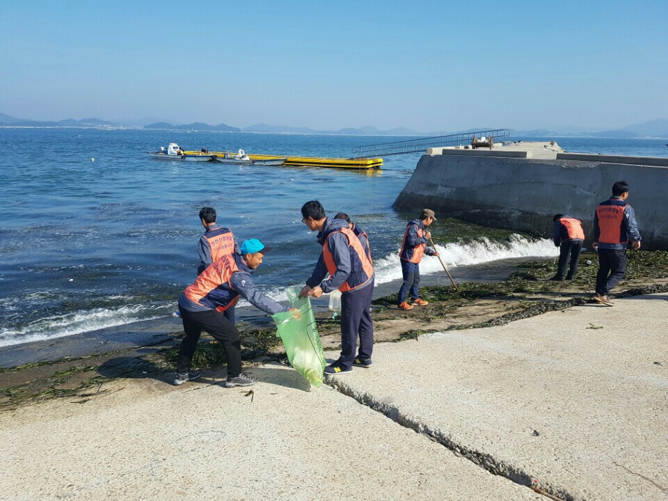 2지역본부 고흥지점 환경정화활동