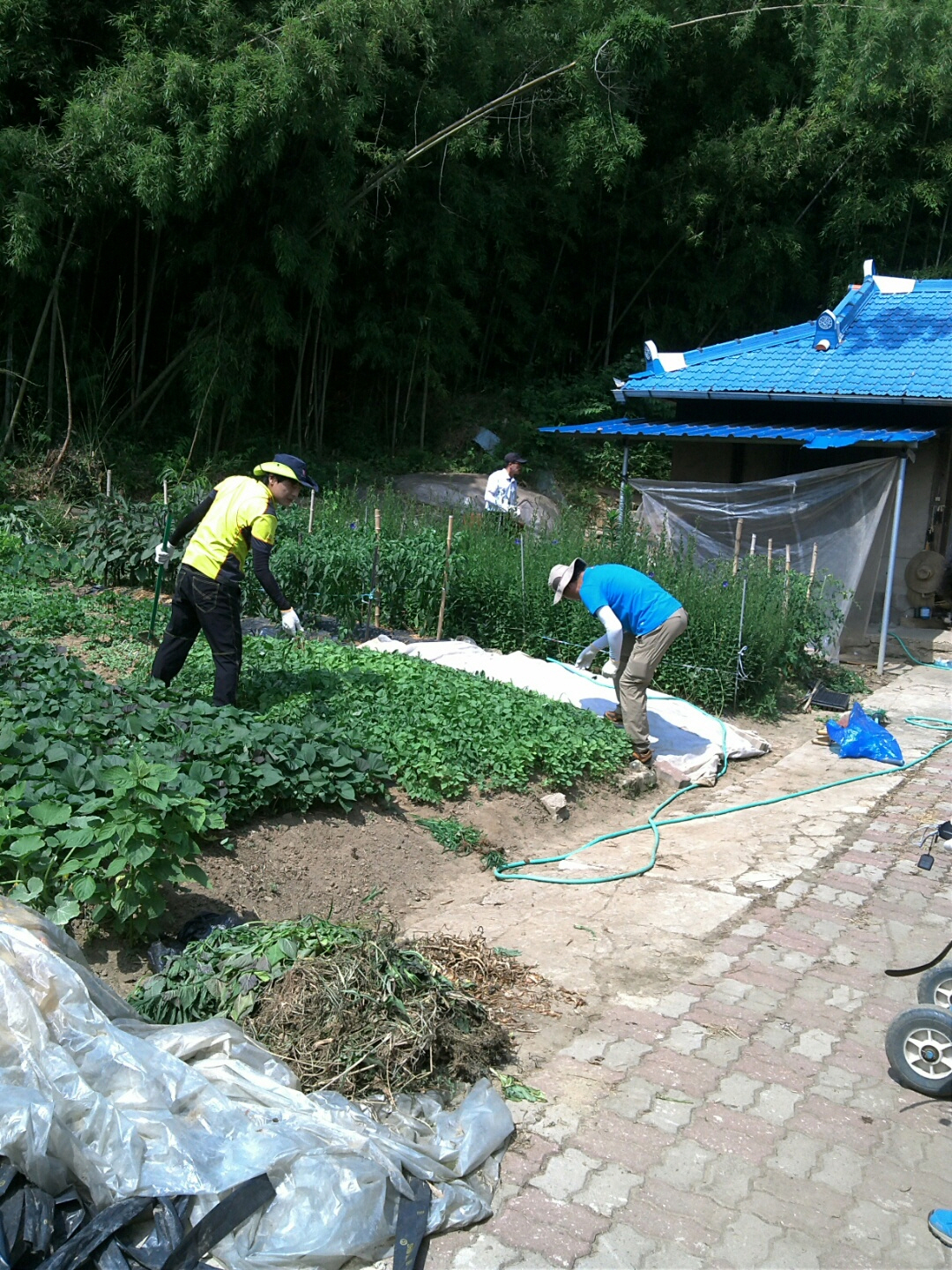 2지역본부 담양자점 봉사활동 소식