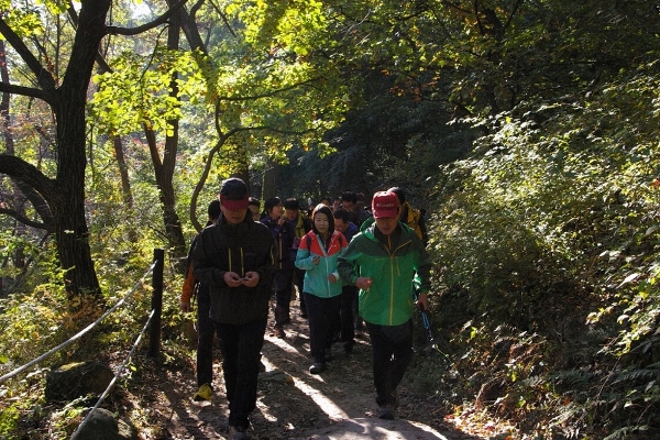 2014년 추계체육행사 산행 장면